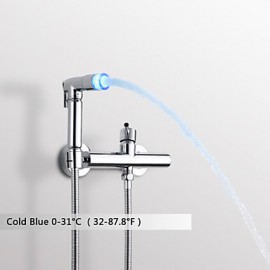 Bidet Wasserhahn-Messing-Zeitgenössisch-LED / Handdusche inklusive-Chrom