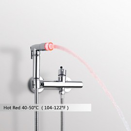 Bidet Wasserhahn-Messing-Zeitgenössisch-LED / Handdusche inklusive-Chrom