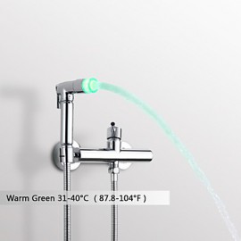 Bidet Wasserhahn-Messing-Zeitgenössisch-LED / Handdusche inklusive-Chrom