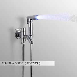 Bidet Wasserhahn-Messing-Zeitgenössisch-LED / Handdusche inklusive-Chrom