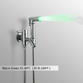 Bidet Wasserhahn-Messing-Zeitgenössisch-LED / Handdusche inklusive-Chrom